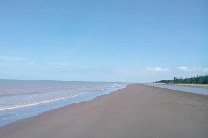 Hướng Dẫn Du Lịch Biển Cồn Bửng Bến Tre: Cách Đến, Điểm Tham Quan Và Trải Nghiệm Ẩm Thực