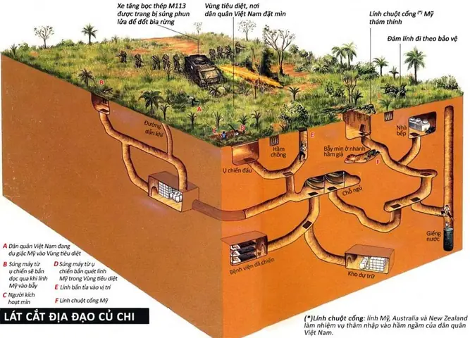 Bản Đồ Địa Đạo Củ Chi Chi Tiết – Hướng Dẫn Sử Dụng Và Khám Phá Cho Du Khách