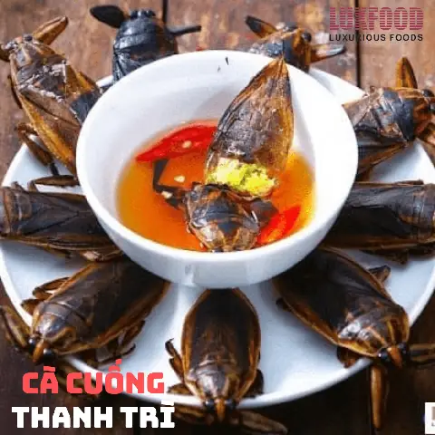 Bánh Cuốn Thanh Trì Ăn Kèm Cà Cuống: Định Nghĩa, Lịch Sử Và Địa Chỉ “đỉnh” Ở Hà Nội