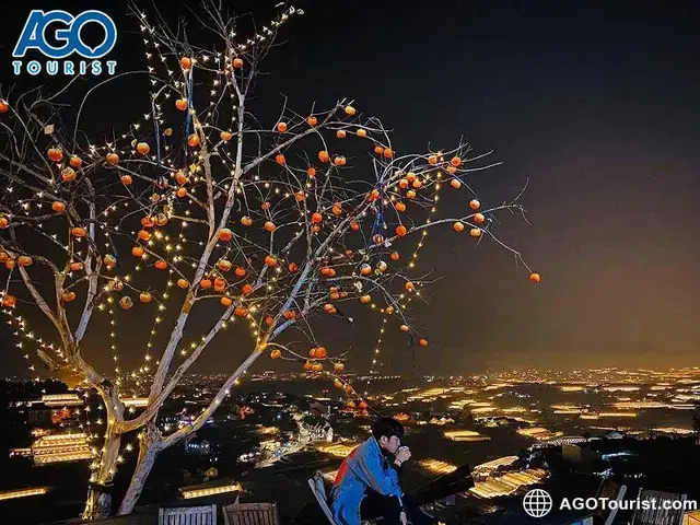 Top 10 Quán Cà Phê Nên Ghé Tại Trại Mát, Đà Lạt – Địa Chỉ, View & Món Đặc Trưng