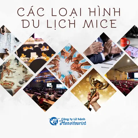 Các Loại Hình Du Lịch Mice: Tìm Hiểu Chi Tiết 4 Loại Hình Và Cách Lựa Chọn Phù Hợp Các Loại Hình Du Lịch Mice: Tìm Hiểu Chi Tiết 4 Loại Hình Và Cách Lựa Chọn Phù Hợp