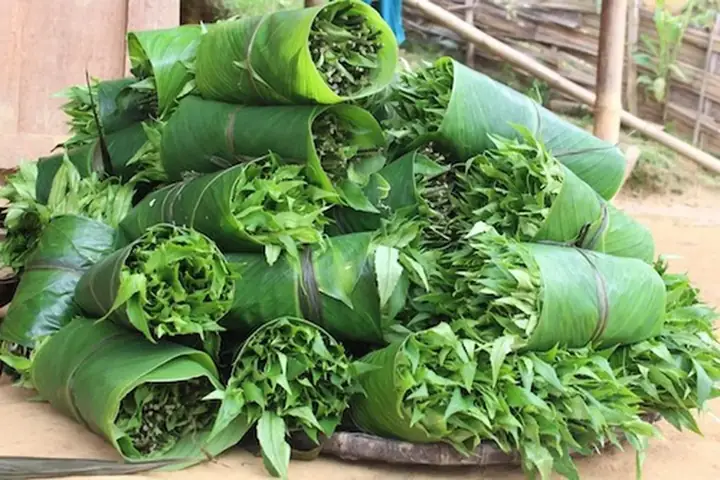 15 Loại Rau Rừng Đặc Sản Ngon, Giàu Dinh Dưỡng Và Cách Chế Biến Đơn Giản