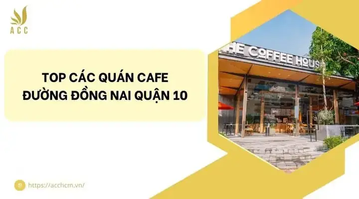 Địa Chỉ, Giờ Mở Cửa Và Review Chi Tiết Các Quán Cà Phê Trên Đường Đồng Nai, Quận 10