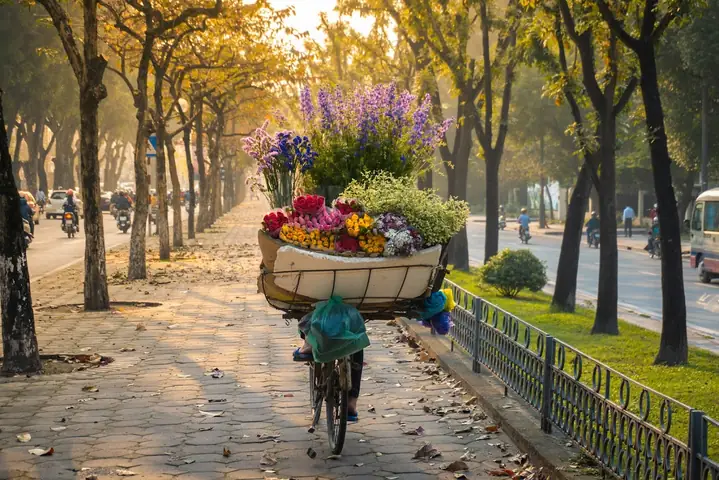 Những Cảnh Đẹp Mùa Thu Hà Nội Không Thể Bỏ Lỡ: Hướng Dẫn Địa Điểm Và Kinh Nghiệm