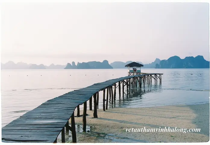 Hướng Dẫn Chi Tiết Khám Phá Cầu Gỗ Bãi Dài Vân Đồn: Lịch Trình, Mẹo Chụp Ảnh Và Hoạt Động Nên Làm