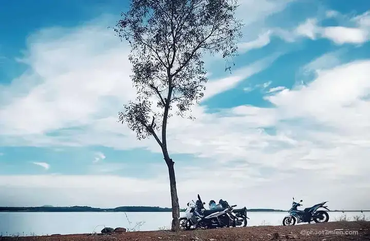 Hướng Dẫn Cắm Trại Tại Cây Cô Đơn Hồ Trị An: Địa Điểm, Thời Gian Tốt Nhất Và Các Hoạt Động