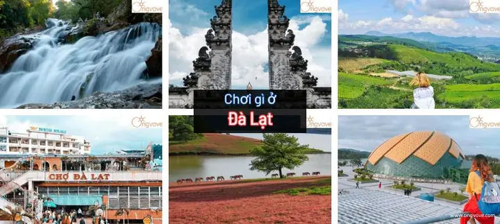 Top Địa Điểm Vui Chơi Ở Đà Lạt: Danh Sách Chi Tiết Cho Mọi Lứa Tuổi