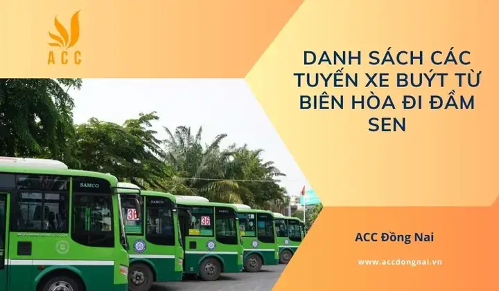 Xe Buýt Đi Đầm Sen: Lịch Trình, Tuyến, Giờ Chạy Và Giá Vé Chi Tiết