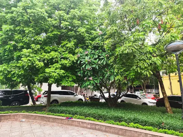 Công Viên Yên Hòa Cầu Giấy: Địa Chỉ, Giờ Mở Cửa, Tiện Ích Và Hướng Dẫn Đến Nơi