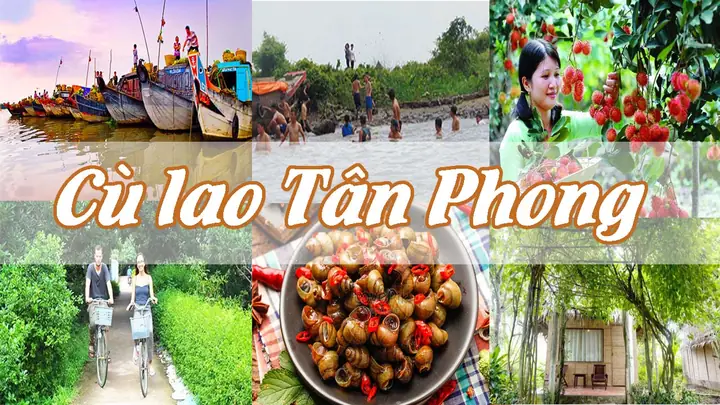 Khám Phá Cù Lao Tân Phong (tiền Giang): Hướng Dẫn Du Lịch Chi Tiết Cho Du Khách
