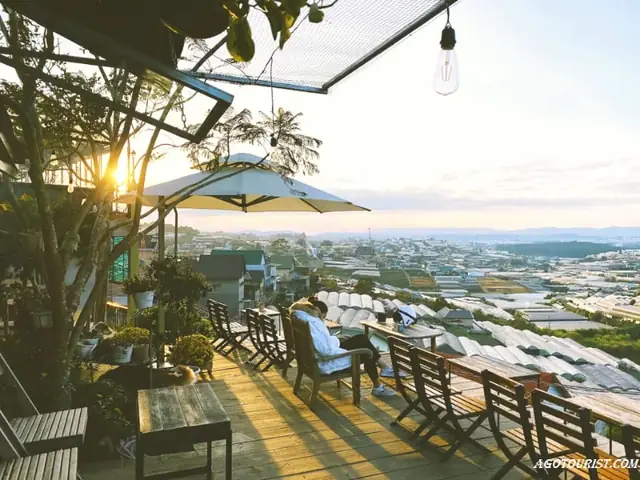 Top 10 Quán Cà Phê Đà Lạt Đẹp Nhất – Địa Điểm Chụp Ảnh & Review Chi Tiết
