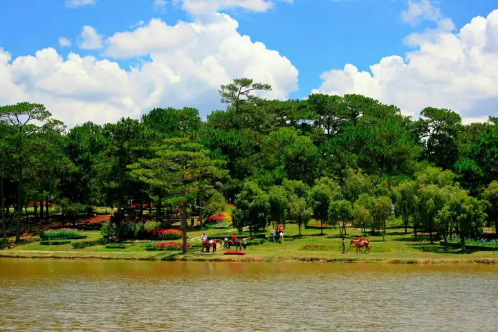 Câu Chuyện, Vị Trí Và Cách Tham Quan Đồi Thông Hai Mộ Đà Lạt