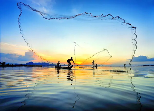 Hướng Dẫn Du Lịch Cồn Nổi Kim Sơn: Cách Đến, Thời Gian Vàng Và Những Trải Nghiệm Không Thể Bỏ Lỡ
