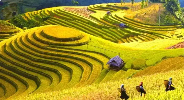 Du Lịch Điện Biên Có Gì? Top 10 Điểm Tham Quan Hấp Dẫn + Lịch Trình Gợi Ý Cho Du Khách