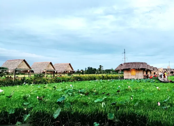 Lịch Trình Du Lịch Đồng Tháp 2 Ngày 1 Đêm Chi Tiết: Điểm Tham Quan, Ẩm Thực, Cách Tự Túc Và Tour