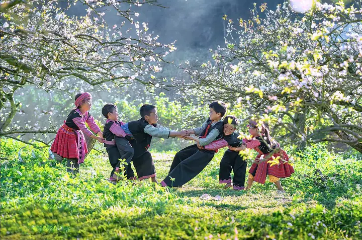 Du Lịch Mộc Châu Tháng 3: Hướng Dẫn Chi Tiết Thời Tiết, Địa Danh Nổi Bật Và Lễ Hội Mùa Hoa