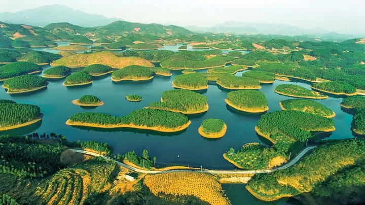 Hướng Dẫn Du Lịch Yên Bái 2026: Lộ Trình, Địa Điểm, Ẩm Thực & Mẹo Di Chuyển