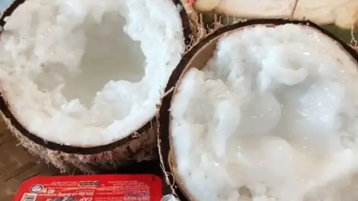 Dừa Sáp Để Được Bao Lâu? Hướng Dẫn Bảo Quản Tối Ưu Kéo Dài Thời Gian Sử Dụng