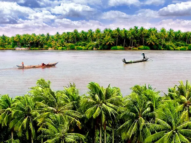 Giới Thiệu Về Cây Dừa Bến Tre: Đặc Điểm, Giá Trị Văn Hoá Và Các Sản Phẩm Nổi Bật