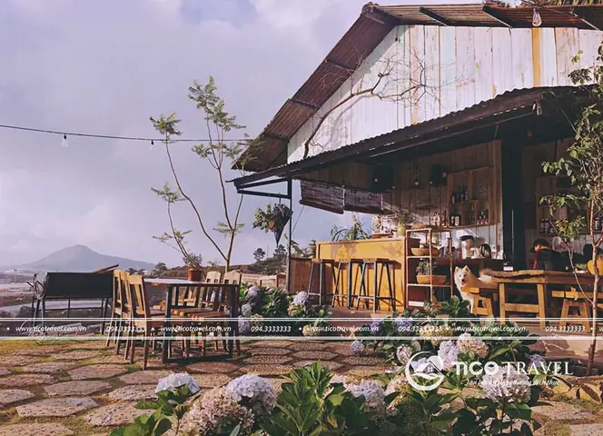 Review Chi Tiết Homestay Hai Ả Đà Lạt: Giá Phòng, Tiện Nghi, Trải Nghiệm Và Lời Khuyên Cho Du Khách