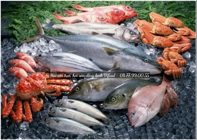 Hướng Dẫn Mua Hải Sản Bình Đại Bến Tre: Địa Chỉ, Giá Cả Và Mẹo Chọn Lựa