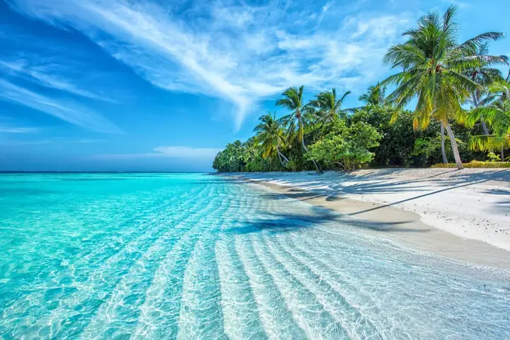 Thư Viện 100+ Ảnh Đẹp Bãi Biển Nha Trang – Cẩm Nang Chụp Và Tải Miễn Phí