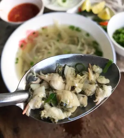 Con Don Quảng Ngãi Là Gì? Đặc Điểm, Nơi Bắt & Địa Chỉ Thưởng Thức Ngon Nhất
