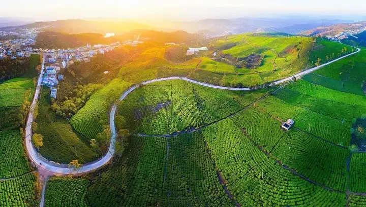 Hình Ảnh Du Lịch Đà Lạt Đẹp Nhất: Bộ Sưu Tập 30+ Cảnh Đẹp, Địa Điểm Chụp Và Mẹo Chụp Ảnh