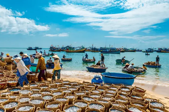 Hình Ảnh Làng Chài Mũi Né: Bộ Sưu Tập Phong Cảnh Biển, Thuyền Bè Và Đời Sống Địa Phương