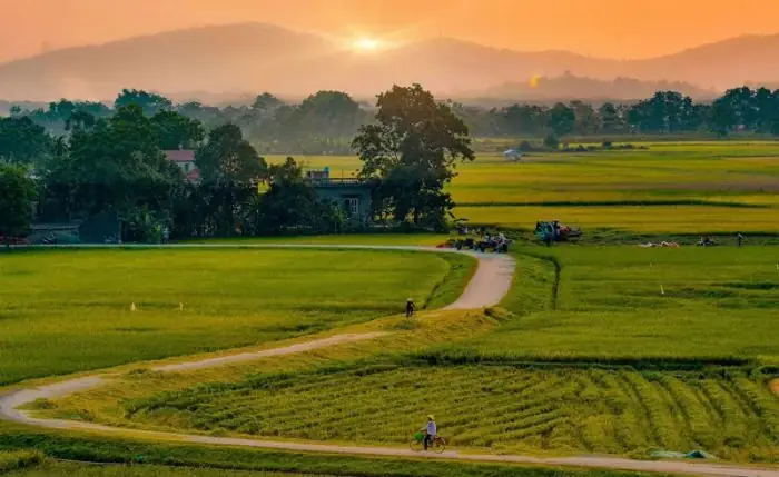 Tổng Hợp Hình Ảnh Miền Quê Thanh Bình: Bộ Sưu Tập, Nguồn Tải Và Cách Sử Dụng