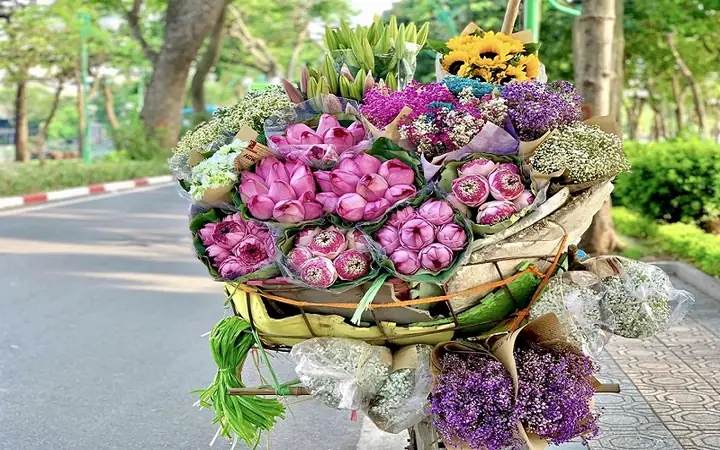 Hình Ảnh Xe Đạp Chở Hoa: Tải Miễn Phí, Hướng Dẫn Sử Dụng Và Ý Tưởng Sáng Tạo