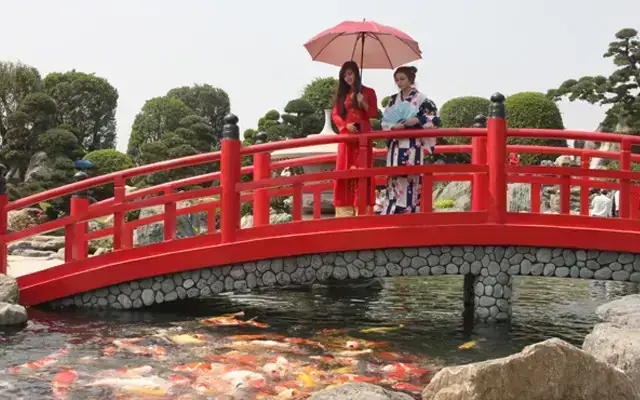 Hướng Dẫn Chọn Đơn Vị Thiết Kế & Thi Công Hồ Cá Koi Trần Văn Mười Hiệu Quả