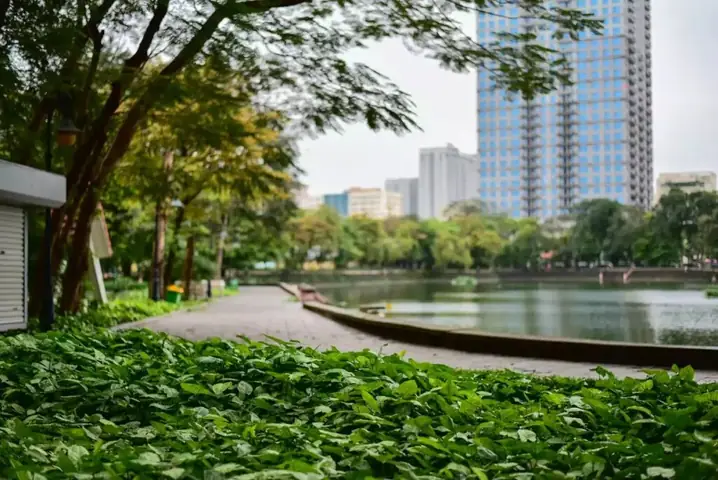 Hồ Thành Công Rộng Bao Nhiêu? Diện Tích, Vòng Quanh Và Những Thông Tin Cần Biết