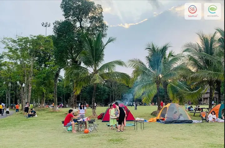 Khám Phá Công Viên Hồ Thiên Nga Ecopark Hưng Yên: Những Hoạt Động Không Thể Bỏ Lỡ