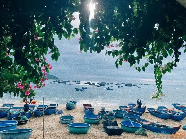 Homestay July Cù Lao Mái Nhà – Đánh Giá, Tiện Nghi, Cách Đặt Phòng Và Hướng Dẫn Du Lịch