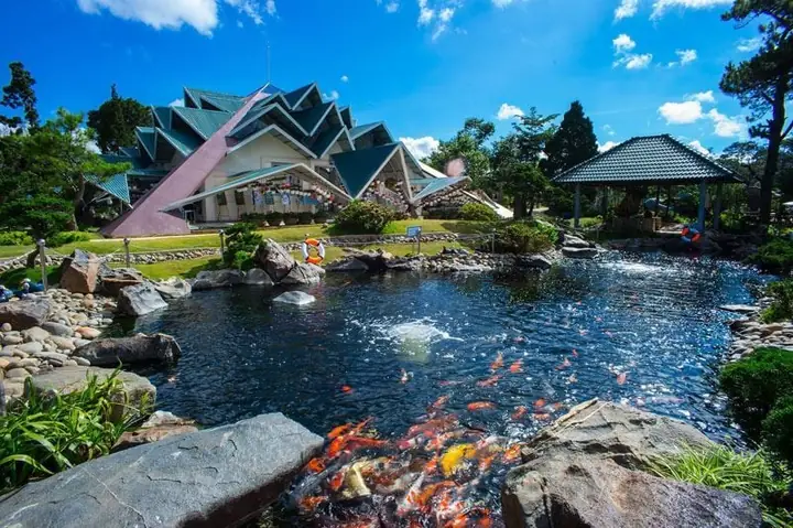 Hướng Dẫn Chi Tiết Khám Phá Khu Du Lịch Lá Phong Đà Lạt: Giờ Mở Cửa, Giá Vé Và Các Điểm Chụp Ảnh Nổi Bật