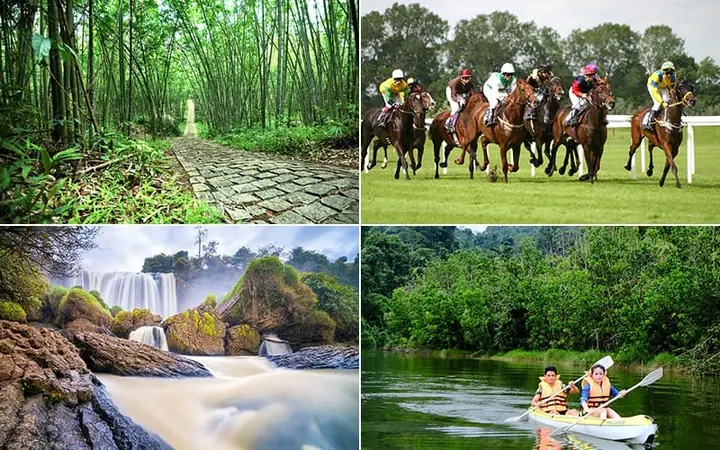 Khám Phá Mọi Hoạt Động Vui Chơi Hấp Dẫn Tại Khu Du Lịch Madagui