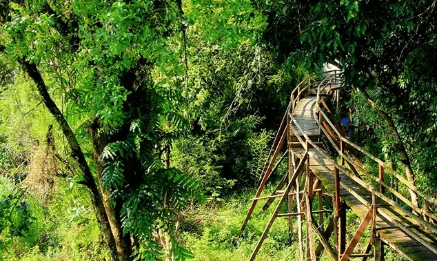 Hướng Dẫn Chi Tiết Du Lịch Rừng Nam Cát Tiên: Lịch Trình, Cách Di Chuyển, Chi Phí Và Mẹo Trải Nghiệm Cho Du Khách