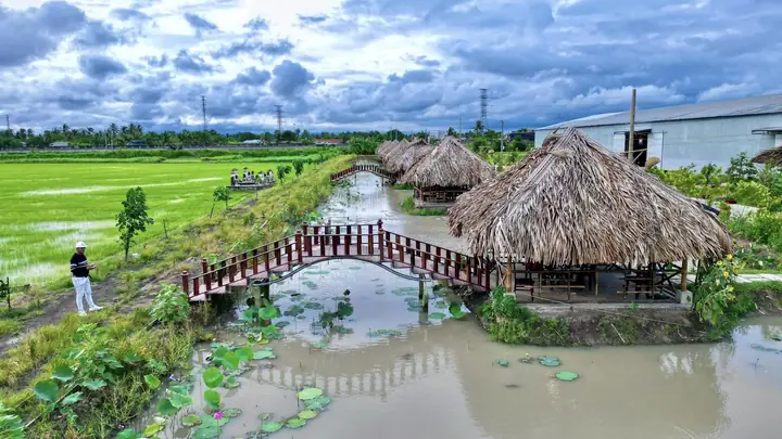Khám Phá Các Khu Du Lịch Sinh Thái Long An: Địa Điểm, Hoạt Động Và Lưu Ý Khi Đến