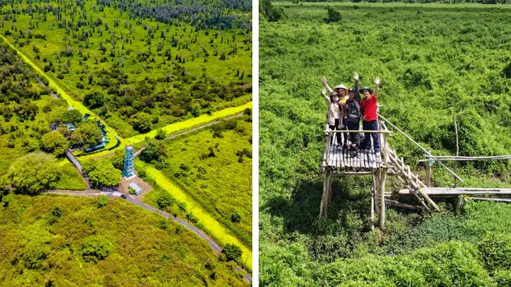 Hướng Dẫn Du Lịch U Minh Thượng Kiên Giang: Điểm Tham Quan, Thời Gian Thích Hợp Và Mẹo Di Chuyển