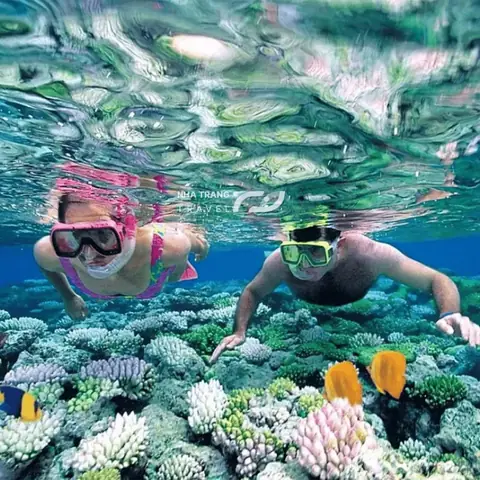 Kinh Nghiệm Lặn Biển Nha Trang: Hướng Dẫn Chi Tiết Từ A‑z Cho Người Mới