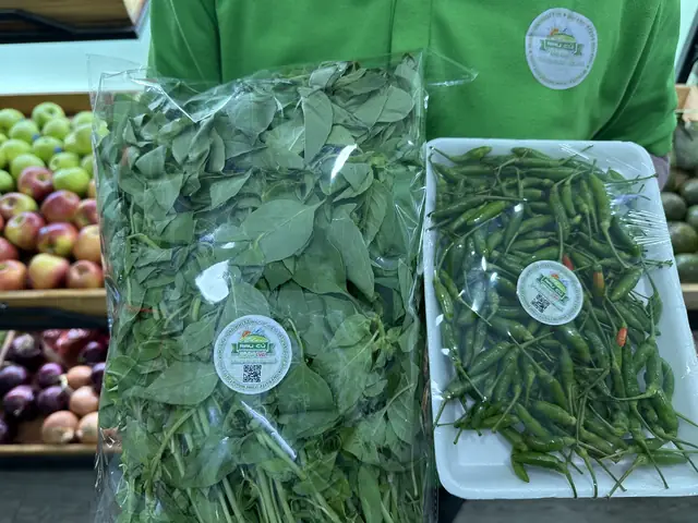 Mua Lá É Tươi Ở Đâu Tại Hà Nội? Địa Chỉ Uy Tín, Giá Tham Khảo & Mẹo Chọn Lựa