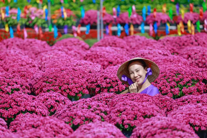 Khám Phá Làng Hoa Kiểng Tân Quy Đông: Lịch Sử, Điểm Tham Quan Và Hướng Dẫn Du Lịch Cho Du Khách