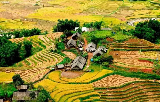Khám Phá Lao Chải – Tả Van: Những Điểm Nổi Bật Và Trải Nghiệm Không Thể Bỏ Qua