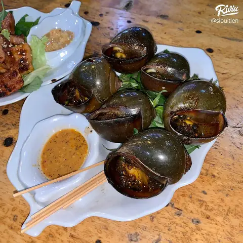 Địa Chỉ, Thực Đơn & Giá Lẩu Ếch Sáu Hiếu (thống Nhất) – Hướng Dẫn Chi Tiết Cho Thực Khách