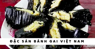 Mua Bánh Gai Ở Đâu Tphcm? Top Địa Chỉ Uy Tín, Giá Và Cách Đặt Hàng