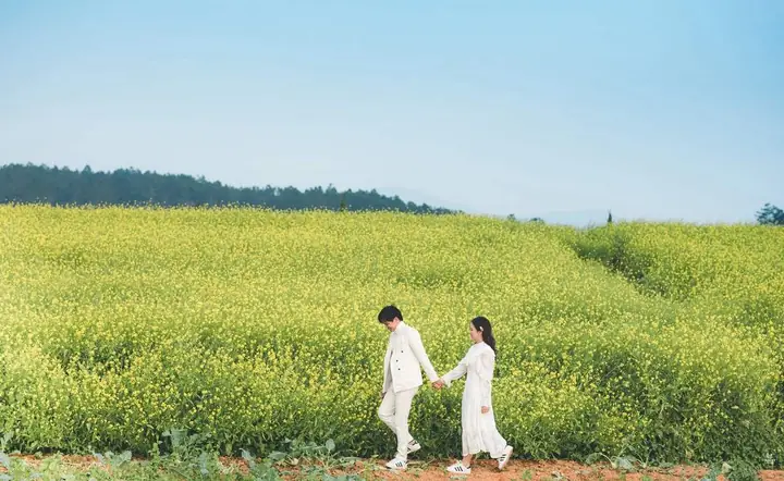 Khi Nào Và Ở Đâu Chiêm Ngưỡng Mùa Hoa Cải Vàng Đà Lạt – Hướng Dẫn Du Lịch Chi Tiết