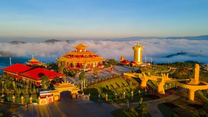 Mùa Thu Đà Lạt Có Gì? Khám Phá Hoa Dã Quỳ, Cỏ Hồng, Lá Phong Và Những Trải Nghiệm Không Thể Bỏ Qua