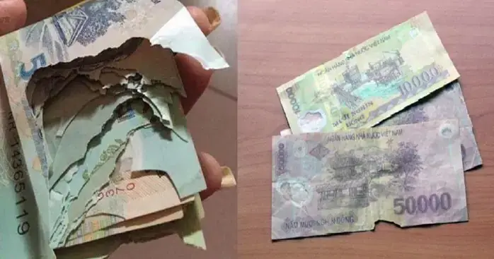 Đổi Tiền Đô Rách Được Không? Các Ngân Hàng Nhận Và Quy Trình Đổi Tiền Usd Hư Hỏng