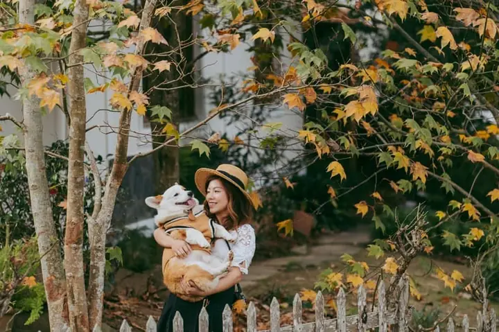 Ngôi Nhà Lá Phong Đà Lạt – Hướng Dẫn Tham Quan, Giờ Mở Cửa, Giá Vé Và Những Điểm Thú Vị